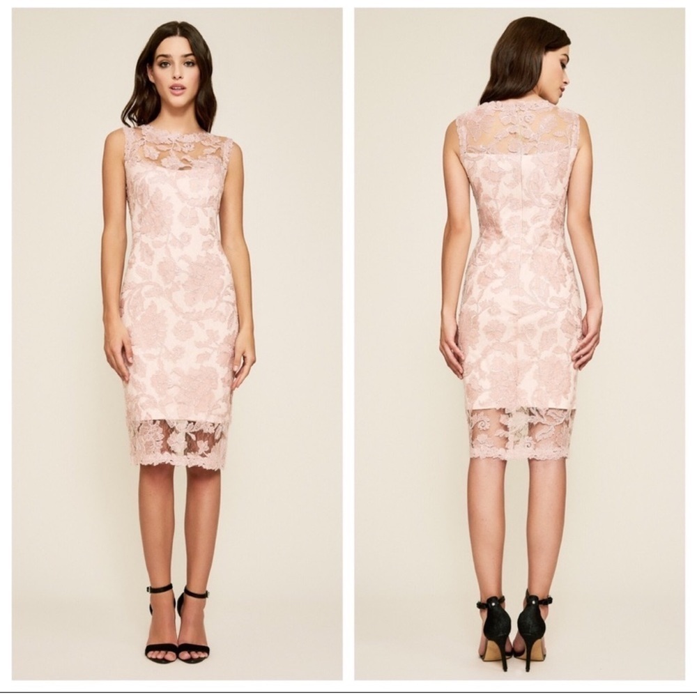 Tadashi Shoji Blush Pink Embroidered Sequin Lace Sheath Midi Dress Size 10